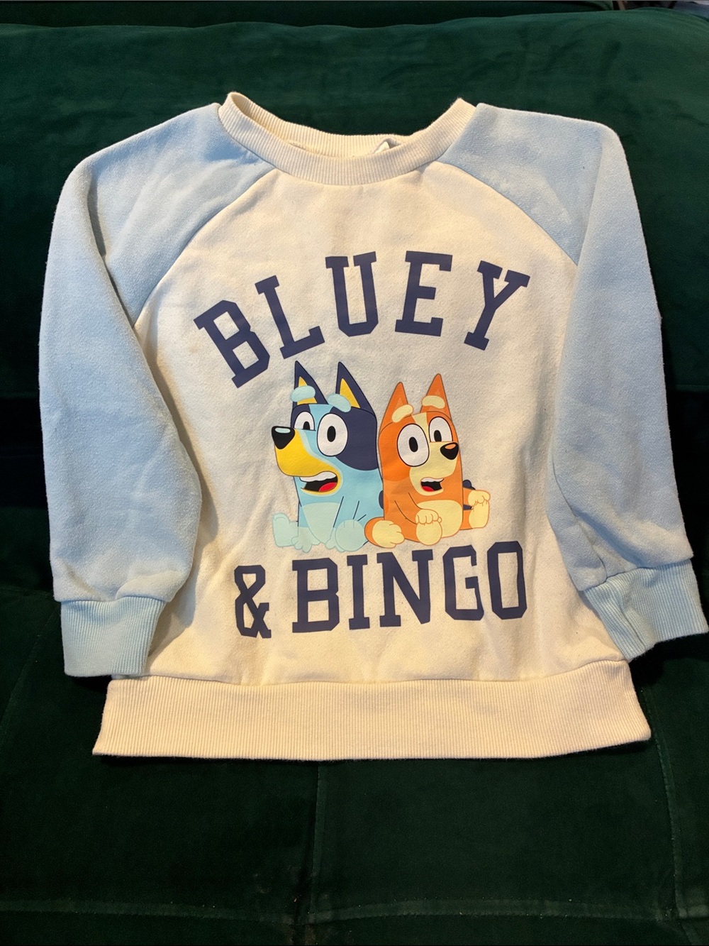 Bluey & Bingo Long Sleeve Kids Sweatshirt